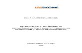 EDNA APARECIDA RIBEIRO INFLUÊNCIA DO ALINHAMENTO DE ... · três níveis: a estratégia corporativa, a estratégia de negócio e as estratégias funcionais ou operacionais (CONTADOR,