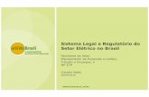 Sistema Legal e Regulatório do Setor Elétrico no BrasilEconomia Brasileira Brasil vis-à-vis Outras Economias O Índice de Opacidade de Kurtzman mede o risco de investimento relacionado