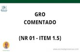 COMENTADO GRO - Amazon Web Services · item 1.5 da norma regulamentadora NR 01 (Disposições Gerais e Gerenciamento de Riscos Ocupacionais). Para quem não me conhece, me chamo Herbert