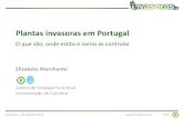Plantas invasoras em Portugal · 2018-07-13 · Barreiro | 29 Janeiro 2015 1/43 Plantas invasoras em Portugal O que são, onde estão e como as controlar Elizabete Marchante Centro