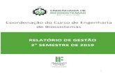 Coordenação do Curso de Engenharia de Biossistemas DE … · curso de Engenharia de Biossistemas referente ao período do segundo semestre de 2019 e propor adequações ao plano