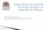 Experiência do Controle do Aedes Aegypti no município de ... · Dengue Municípios do GVE Campinas segundo a fase (faixa de incidência) proposta no Plano de Vigilância, Prevenção