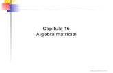 Capítulo 16 Álgebra matricialrdahab/cursos/matlab/...úteis para resolver problemas numéricos de álgebra linear. Na seção 16.2 do livro há uma tabela com uma descrição sucinta