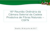 16ª Reunião Ordinária da Câmara Setorial da Cadeia ... · 16ª Reunião Ordinária da Câmara Setorial da Cadeia Produtiva de Fibras Naturais – CSFN Brasília, 08 de junho de