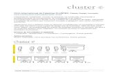 Ciclo Internacional de Palestras CLUSTER. Cidade, Design, …mariosuarez.net › projetocluster_brasil › app › webroot › files... · 2019-02-11 · informação e da comunicação