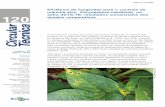 Eficiência de fungicidas para o controle da mancha …4 Eficiência de fungicidas para o controle da mancha-alvo, Corynespora cassiicola, na safra 2015/16: resultados sumarizados