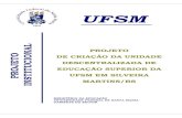 303O SUPERIOR DA UFSM EM SILVEIRA MARTINS.doc)coral.ufsm.br/udessm/images/Projeto.pdf · Projeto de Criação da Unidade Descentralizada de Educação Superior da UFSM em Silveira