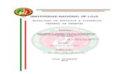 UNIVERSIDAD NACIONAL DE LOJA · Misael Ariosto Reyes Reyes DIRECTOR: Dr. Mgs. Sebastián Rodrigo Díaz Páez LOJA - ECUADOR 2013 . ii . iii . iv . v AGRADECIMIENTO Expreso mi sincera