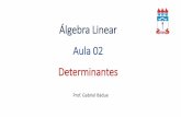 Álgebra Linear Aula 02 Determinantes · Teoria Determinante Chama-se determinante de uma matriz quadrada à soma algébrica dos produtos que se obtém efetuando todas as permutações