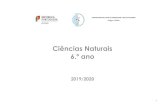 Ciências Naturais 6.º ano - eb23carlosteixeira.neteb23carlosteixeira.net/.../11/planificacao_cn_6ano... · 6.º ANO | 2.º CICLO DO ENSINO BÁSICO CIÊNCIAS NATURAIS ORGANIZADOR