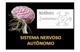 Sistema autonomico 03 - UFJF · Sistema Sistema nervosonervoso Sistema nervososomático Relaçãodo organismocom o meio Sistema nervosoautonômico Inervaçãode estruturasviscerais=