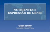 NUTRIENTES E EXPRESSÃO DE GENES - wp.ufpel.edu.br · Receptores no núcleo regulam a expressão gênica em resposta a nutrientes lipossolúveis e seus metabólitos Esta família