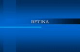 RETINA - Webnode.com.brfiles.drresumo.webnode.com.br/200000444-e5d9ee6d45/Retina.pdf · DESCOLAMENTO DA RETINA É toda separação da retina sensorial do epitélio pigmentar Presença