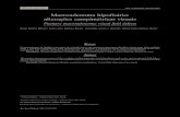 Macroadenoma hipofisário: alterações campimétricas visuais · 2014-12-16 · As pressões intraoculares (PIO) estavam em 13/13 mmHg (14 h - em uso do colírio hipotensor) em AO.