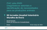PAC pós-2020 Diagnósticos setoriais e …...2020/04/06  · PAC pós-2020 Diagnósticos setoriais e identificação de necessidades para as produções animais XII Jornadas Hospital