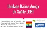 da Saúde LGBT Unidade Básica Amiga · serviços de referência, registro de informações sobre orientação sexual e identidade gênero na realização de teste rápido, citopatológico