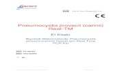 Pneumocystis jirovecii (carinii) Real-TMperamed.com/peramed/docs/TP2-50FRT-P2-50FRT_TR.pdf · Sacace™ Pneumocystis jirovecii (carinii) Real-TM VER 21.03.2013 SAĞLANAN MALZEMELER