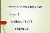 TECIDO E SISTEMA NERVOSO Livro: 13 Módulos: 75 a 78 · Sistema nervoso autônomo (SNA) – corresponde à parte eferente do sistema nervoso visceral ou da vida vegetativa. Divisões