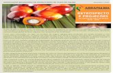 Associação Brasileira de Produtores de Óleo de …2 A palma de óleo é uma planta de origem africana cultivada no Brasil desde o século XVII, inicialmente na Bahia e posteriormente