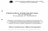 PREGÃO PRESENCIAL - Prefeitura de Piên · 2018-10-09 · iS PREFEITURA MUNICIPAL DE PIÊN ESTADO DO PARANÁ 001 PREGÃO PRESENCIAL N°019/2018 Processo n° 31512018 Registro de