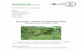 RELATÓRIO – OFICINA DE ADUBAÇÃO VERDE OUTONO – 2013 · pupunha, frutíferas, mandioca, palmeiras, café). Desenho: linhas de coquetel de adubação verde (2kg de cada espécie)