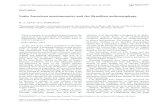 Latin American autoimmunity and the Brazilian anthropophagydownloads.hindawi.com/journals/jir/2006/184031.pdffrom Israel, Jordi Lopez from Spain, Ivan Foeldvari, from Germany, Georg