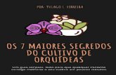 MEUS PARABÉNS · MEUS PARABÉNS Oi, meu nome é Thiago Ferreira. Antes de te ensinar sobre as orquídeas, eu queria te parabenizar por ter decidido aprender mais sobre o cultivo