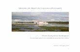Moinho de Maré de Corroios (Portugal) - TriploV · 2018-02-07 · Moinho de Maré de Corroios 3 Extensões: Antiga Fábrica de Pólvora de Vale de Milhaços Quinta de S. Pedro Espaço