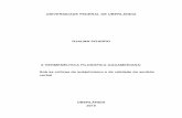 A HERMENÊUTICA FILOSÓFICA GADAMERIANA: Sob as críticas … · 2019-06-19 · Dados Internacionais de Catalogação na Publicação (CIP) Sistema de Bibliotecas da UFU, MG, Brasil.