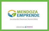 Líneas de - Mendoza Emprendemendozaemprende.org/links/linea-50000.pdf · Líneas de Financiamiento Línea $50.000 Línea destinada a financiar microemprendimientos Facilitar el acceso
