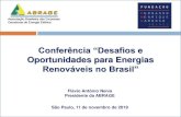 Conferência “Desafios e · Conferência “Desafios e Oportunidades para Energias Renováveis no Brasil” Flávio Antônio Neiva Presidente da ABRAGE São Paulo, 11 de novembro