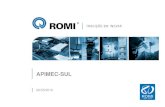 APIMEC-SUL - Romi...APIMEC-SUL 06/05/2010 Ressalvas As informações e declarações sobre eventos futuros estão sujeitas a riscos e incertezas, as quais têm como base estimativas