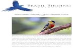 (São Paulo and Rio de Janeiro) - Brazil Birding Expertsbrazilbirdingexperts.com/wp-content/uploads/2018/05/...Area description: Paraty is a charming and historic town, being one of
