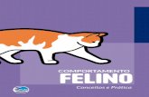 COMPORTAMENTO FELINO · 2019-11-07 · Lição 3 Estimulação Física Todos os gatos, e em especial aqueles mais ativos e cheios de energia, precisam de estimulação física diária.