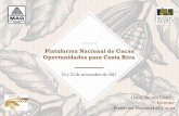 Plataforma Nacional de Cacao Oportunidades para Costa Rica › paragraph › attachments › cacao... · 2019-05-02 · de vida del productor y de los miembros de la cadena”. •