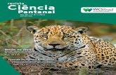 Onças na mira · 2019-07-17 · tranquilidade de quem vive no Pantanal e deleite dos turistas. Araras fazem ninhos relativamente perto das pousadas. Tatus e tamanduás circulam pelos