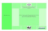 Ministério do Ambiente e Agricultura Costeira · 2012-08-25 · 1 Proposta de Plano de Gestão de Zonas Húmidas Boavista/Cabo Verde I. Introdução A. Conceitos, Natureza e Importância
