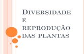 Diversidade e reprodução das plantassacramentinasconquista.com.br/professor/wp-content/... · 2019-06-29 · pedúnculo: corresponde ao cabo da flor; • receptáculo: é a parte