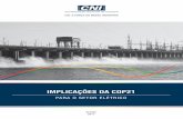IMPLICAÇÕES DA COP21 · brasília 2017 implicaÇÕes da cop21 para o setor elÉtrico implicaÇÕes da cop21 para o setor elÉtrico