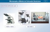 Microscopia e Método de Coloração Bacteriana 1 · Microscopia e Método de Coloração Bacteriana 3 •Bacterioscopia ao Microscópio de Luz: Diâmetro da célula bacteriana: 1