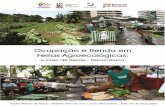 Ocupação e Renda em Feiras Agroecológicas: o …...2 | Ocupação e Renda em Feiras Agroecológicas: o caso de Recife - Pernambuco Estudo realizado pelo Instituto de Desenvolvimento