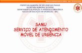 Registros de enfermagem - Prefeitura de São José dos Pinhais · 2019-12-10 · Equipes das Unidades de Suporte Básico Técnico de Enfermagem Condutor-socorrista - 02 unidades de