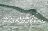 amazônias - Revista Pesquisa Fapesp...PEsQUIsA fAPEsP 285 | 27 o tipo de vegetação que nele cresce. Quase não há plantas, por exemplo, em desertos devido à extre - ma escassez