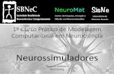 1º Curso Prático de Modelagem Computacional em Neurociênciasisne.org/wp-content/uploads/2017/04/renan.pdf · Referências •Gerstner W, Kistler WM, Naud R, Paninski L. Neuronal