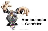 Manipulação Genética - Apresentação10ebgspedro.weebly.com/uploads/1/4/0/3/14035134/...Manipulação Genética Origem: Genno = fazer nascer (grego) Ciência dos genes, da hereditariedade