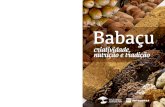 Babaçu: criatividade, nutrição e tradição...Ao apresentar receitas com Babaçu e seus derivados, Babaçu: criatividade, nutrição e tradição pretende divulgar o potencial da