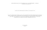 Monografia CARLOS HENRIQUE DE MELLO …repositorio.unesc.net/bitstream/1/3757/1/CARLOS HENRIQUE...1 CARLOS HENRIQUE DE MELLO BORSATTO AS CALAMIDADES PÚBLICAS E AS CONTRATAÇÕES EMERGENCIAIS