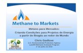 Metano para Mercados: Criando Condições para Projetos de … · combustíveis fosséis) 57% Dióxido de Carbono (deflorestame nto, decomposi çã o de biomassa, etc) 17% Dióxido