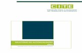 Relatório de auto-avaliação CITE 2011cite.gov.pt/asstscite/downloads/relatorios_activids/... · 2018-05-08 · Comissão para a Igualdade no Trabalho e no Emprego Relatório de
