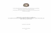 NOVOS LAÇOS DE FAMÍLIA: AS …UNIVERSIDADE FEDERAL DO RIO DE JANEIRO ESCOLA DE COMUNICAÇÃO TERMO DE APROVAÇÃO A Comissão Examinadora, abaixo assinada, avalia a Monografia Novos